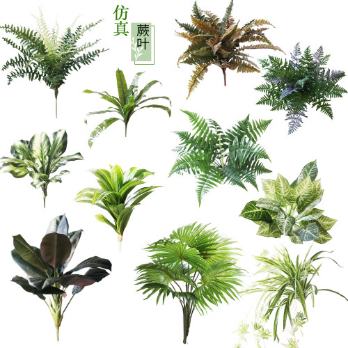仿真蕨草假植物绿化工程万年青吊兰大号蕨叶波斯蕨排草花草装饰