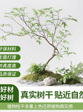 仿真枫树鸡爪槭绿枫红枫假枫树落地植物造景地貌盆景装饰大型摆件