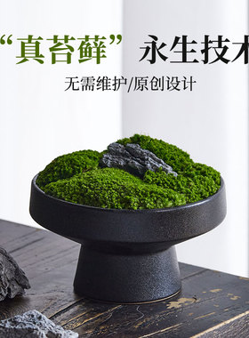 轻奢礼品永生真苔藓绿植盆景酒店样板间茶几洽谈桌餐书桌装饰摆件