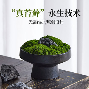 轻奢礼品永生真苔藓绿植盆景酒店样板间茶几洽谈桌餐书桌装 饰摆件
