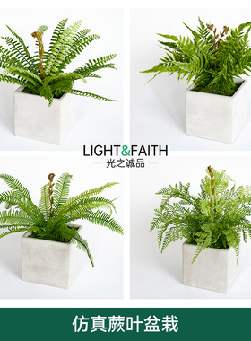 北欧蕨类植物软胶排草波斯顿草插花花材婚庆植物墙配草仿真盆景