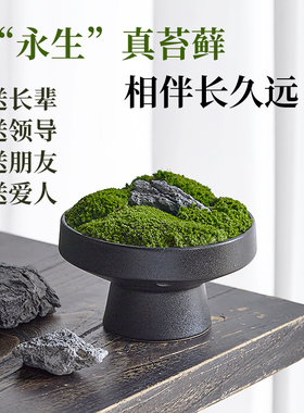 轻奢礼品送长辈永生苔藓绿植盆景朋友书房摆件领导办公室高档礼物
