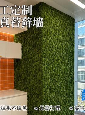 永生苔藓墙手工定制白发藓造景场景软装仿真绿植小鹿藓包块植物墙
