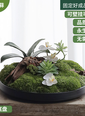 新中式永生苔藓桌面样板房售楼处酒店会所茶几端景台装饰花艺摆件