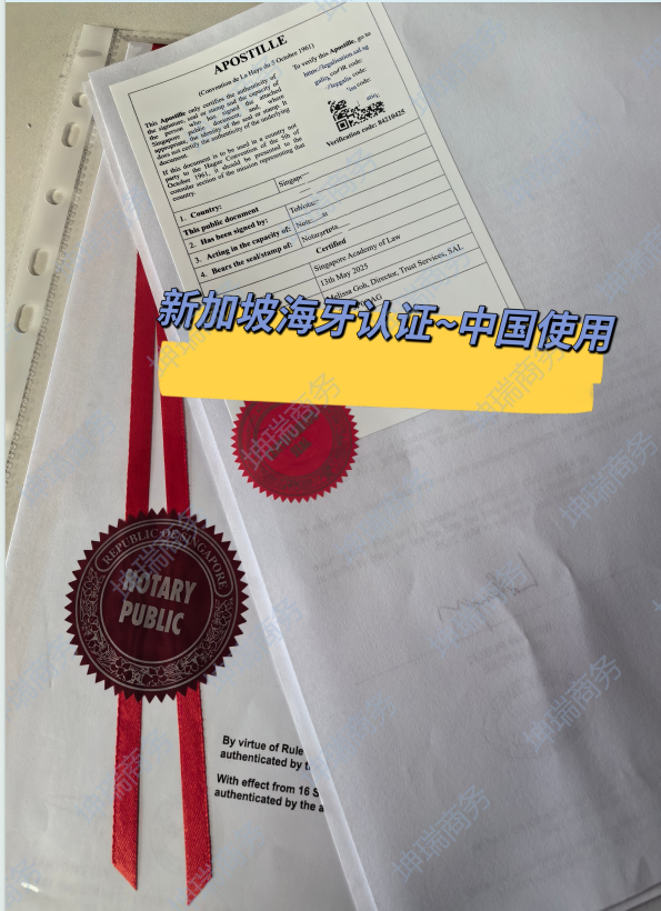 新加坡海牙认证新加坡学历新加坡出生新加坡学历新加坡学历