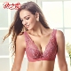 依之妮女士内衣正品 性感聚拢蕾丝全罩杯薄款 4排扣软钢圈文胸493B2
