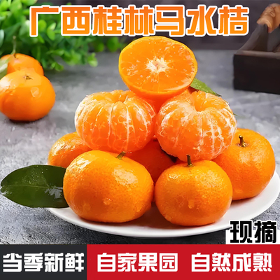 广西马水桔现摘新鲜解腻橘子