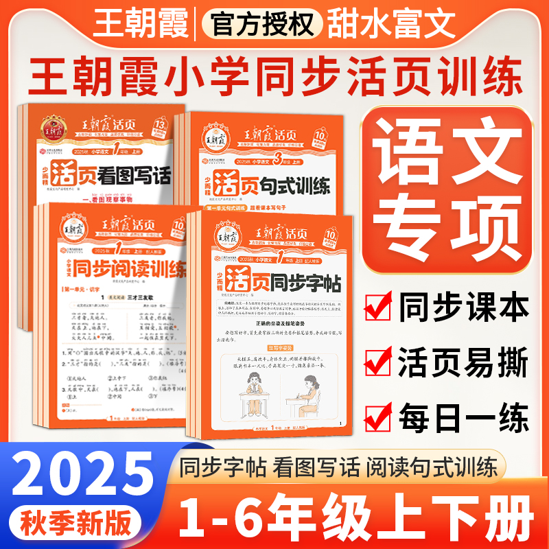 2025新王朝霞活页专项练习