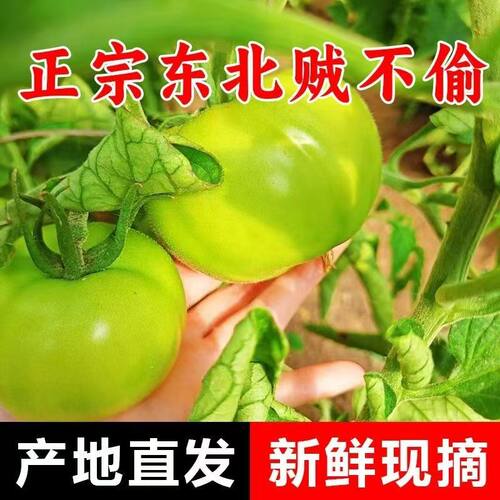 东北特产新鲜包邮低卡低糖水果