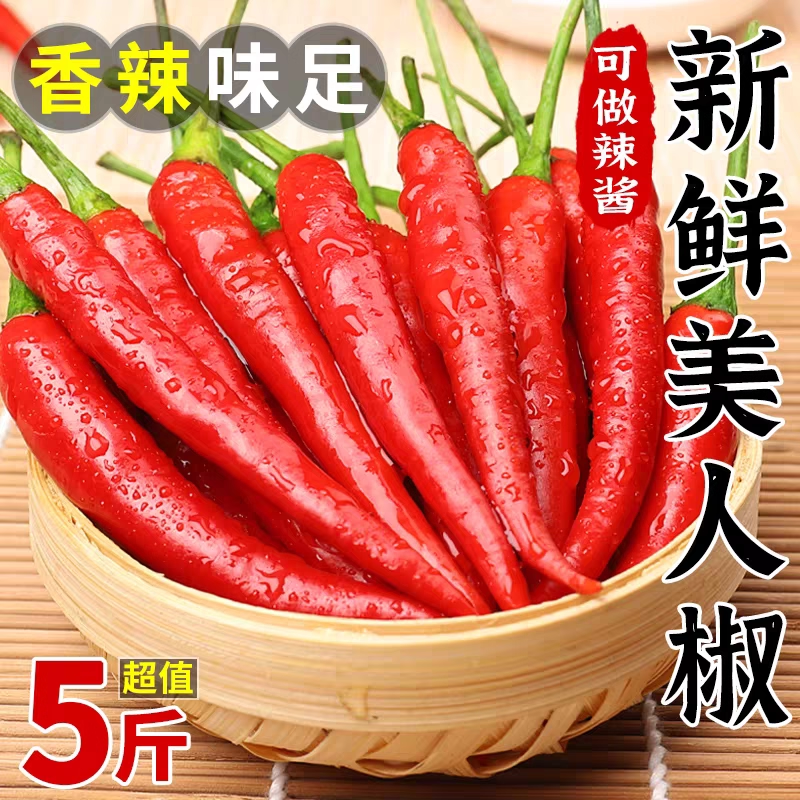 新鲜美人椒大个微辣大红椒红辣椒红尖椒现摘现发红辣子农家自种,水产肉类/新鲜蔬果/熟食,辣椒,淘宝优惠券,粉丝福利购,淘宝优惠卷