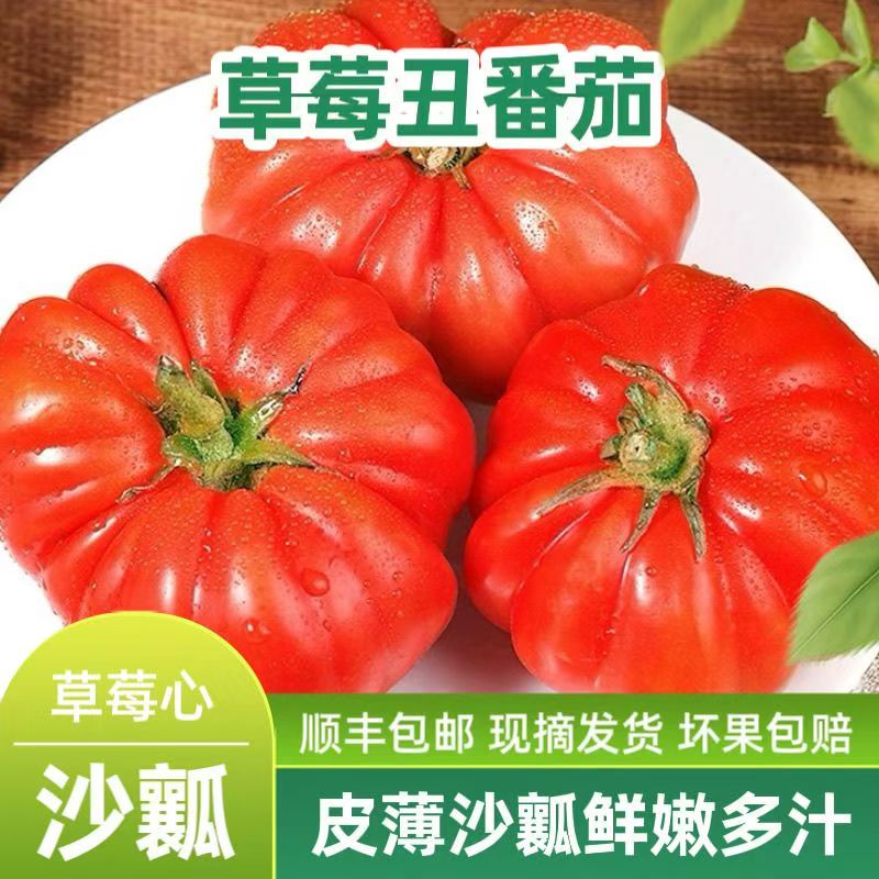 26年现摘农家自种老品种土番茄露天成熟马蹄西红柿应季丑西红柿