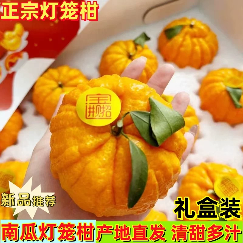 四川眉山正宗南瓜柑橘新鲜孕妇水果当季整箱橘子包邮狮子头发财柑,水产肉类/新鲜蔬果/熟食,桔子,淘宝优惠券,粉丝福利购,淘宝优惠卷