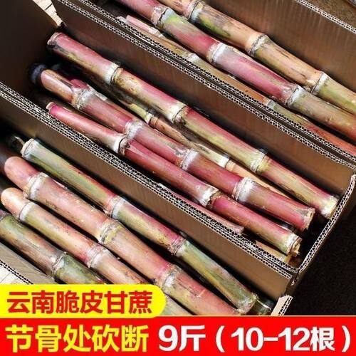 新鲜甘蔗脆甜多汁皮薄甜宝宝可吃