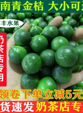 新鲜海南青金桔小柠檬皮薄多汁小青柠奶茶专用泡水水果茶包邮非
