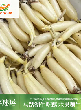 顺丰包邮新鲜现挖网红水果藕蔬菜