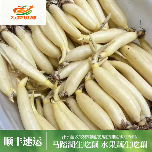 顺丰包邮新鲜现挖网红水果藕蔬菜