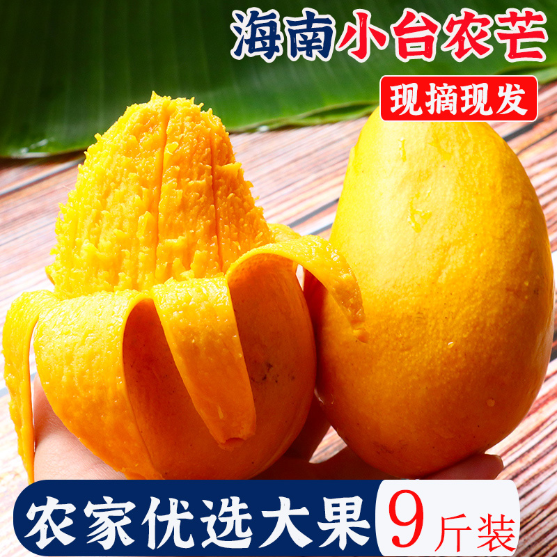 正宗海南小台农芒果10斤新鲜现摘小台芒应当季树上熟热带水果5