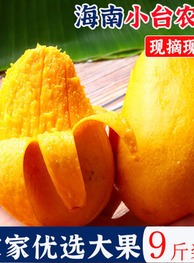 正宗海南小台农芒果10斤新鲜现摘小台芒应当季树上熟热带水果5