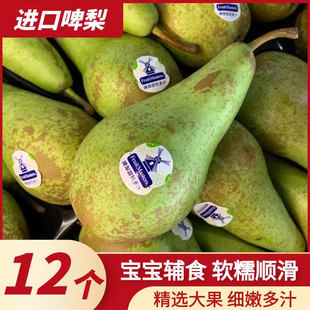 进口荷兰比利时啤梨青啤梨当季新鲜水果孕妇宝宝辅食软糯香甜送礼