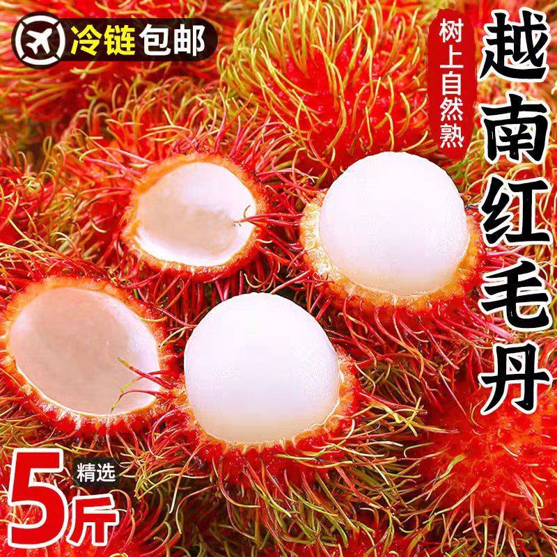 顺丰5斤现货海南红毛丹新鲜毛荔枝孕妇水果脆甜泰国当季热带整箱,水产肉类/新鲜蔬果/熟食,毛丹/毛荔枝,淘宝优惠券,粉丝福利购,淘宝优惠卷