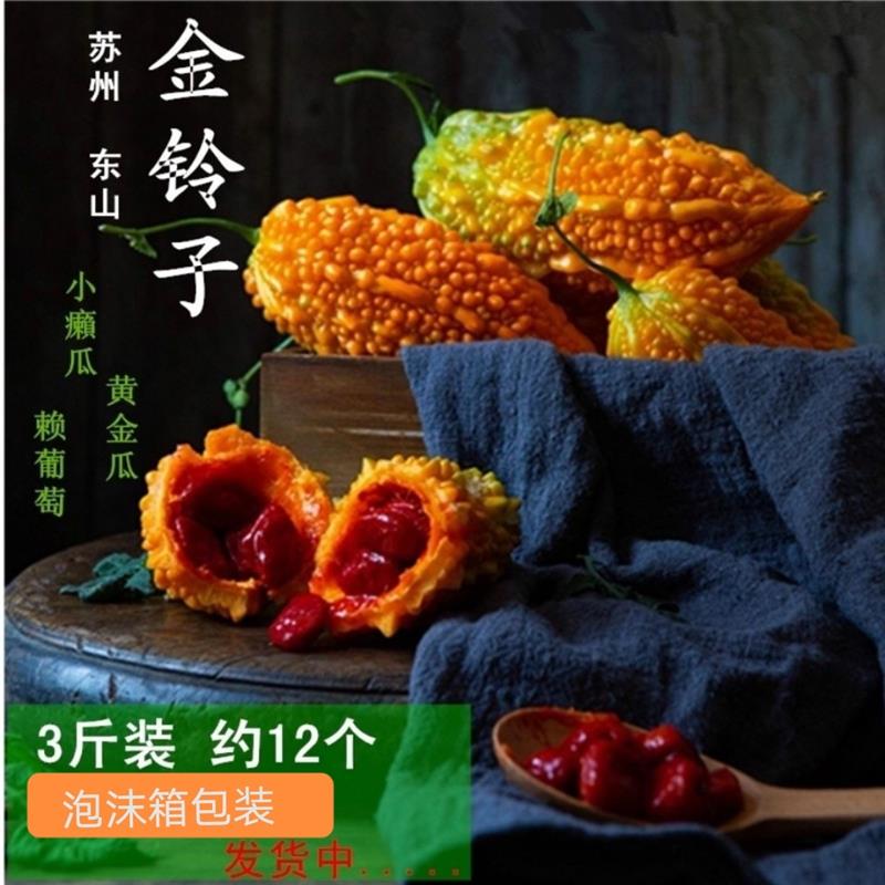 癞葡萄金铃子新鲜水果黄金瓜红娘瓜金癞瓜红娘刺濑甜心果小苦瓜5