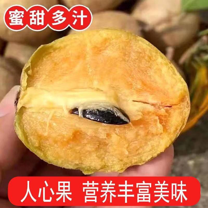 广西人心果新鲜现摘特大果当季孕妇热带稀罕见水果整箱5斤人参果,水产肉类/新鲜蔬果/熟食,人参果,淘宝优惠券,粉丝福利购,淘宝优惠卷