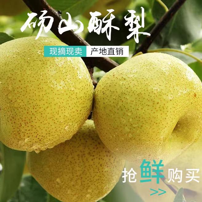 other安徽正宗砀山梨酥