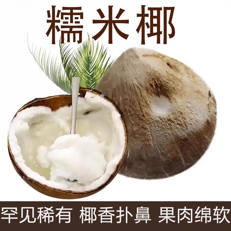 当季新鲜泰国进口糯米椰600-1000g重椰子泰式甜品绵软糯叽叽水果