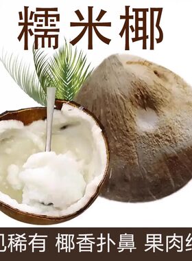 当季新鲜泰国进口糯米椰600-1000g重椰子泰式甜品绵软糯叽叽水果