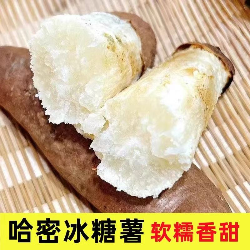 山东哈密正宗新鲜现挖白心蜜薯