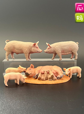 collecta我你他公猪母猪小猪仔仿真农场动物模型儿童玩具88864