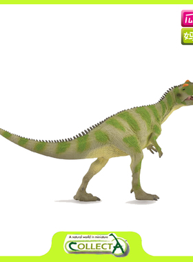 Collecta我你他 2020年 萨尔崔龙 仿真远古古兽恐龙模型玩具88882