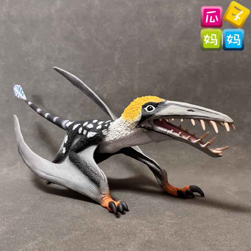 仿真飞禽鸟类动物模型静态摆件