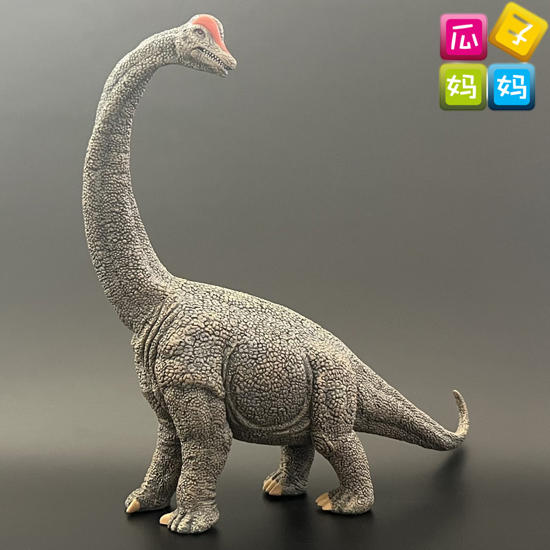 collecta我你他腕龙树脂