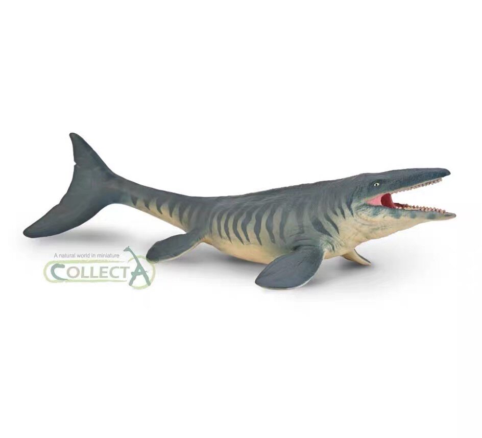 海王龙80048collecta我你他海洋恐龙动物模型玩具2026年