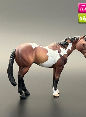 collecta2022年阿帕卢萨公马仿真农场马术动物模型儿童玩具88956