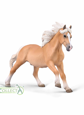 哈菲林克尔公马collecta2025年仿真农场马术动物模型玩具80038
