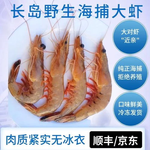 烟台青岛特产长岛高端现捕冷冻发货活虾鲜甜新鲜食材海虾鲜活速冻