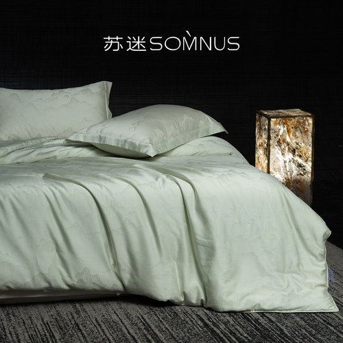 6A级双宫茧100%桑蚕丝被芯