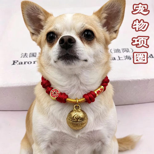狗狗猫咪宠物项圈大中小型犬项圈