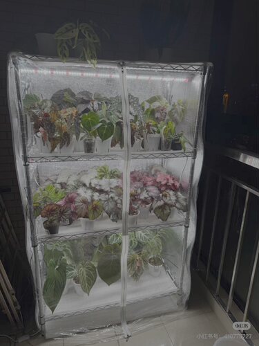 家用温室置物架花房多肉架保温罩温室暖房防尘罩保湿罩个性定做