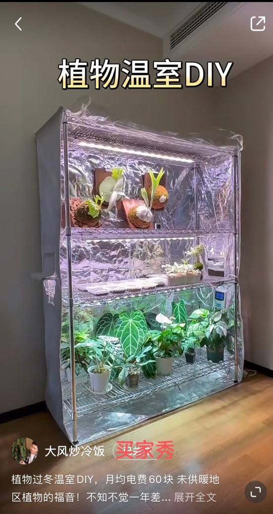 多功能爬虫饲养架爬宠空气凤梨花爬宠缸/箱