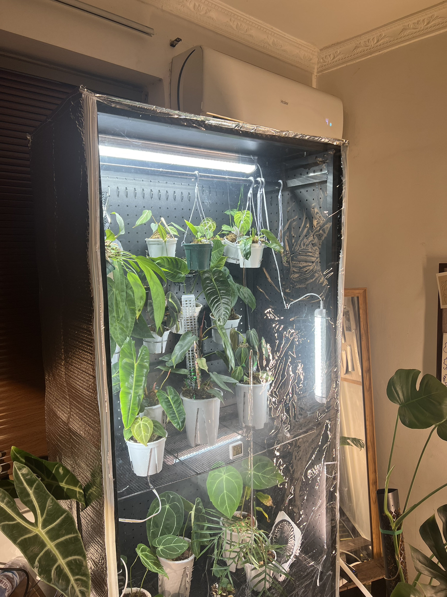 定制植物暖房保温保湿花架有反射膜提高光利用率补光效果好