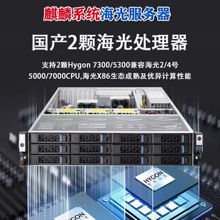 国产海光3350服务器工控机单/双CPU麒麟系统信创网络安全冗余电源