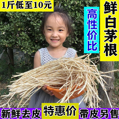 新鲜山东去皮带皮白茅根散装真空