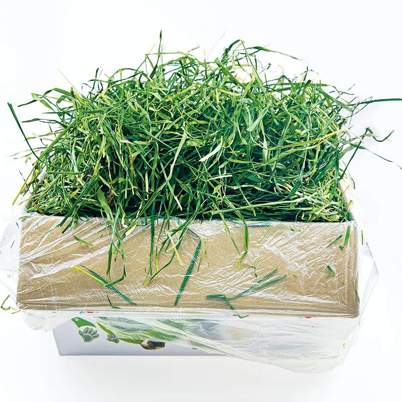 25年新草赫尔达纯叶烘干提摩西草 南提APD龙猫兔子豚鼠高纤维牧草