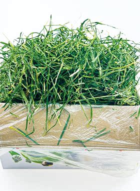 25年新草赫尔达纯叶烘干提摩西草 南提APD龙猫兔子豚鼠高纤维牧草