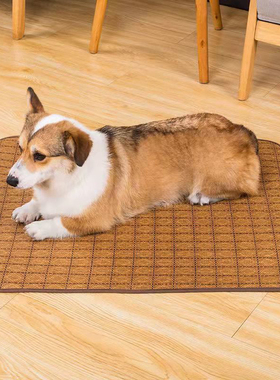 夏天狗狗凉垫夏季猫垫子宠物垫狗狗窝猫咪凉席垫降温兔子小大型犬