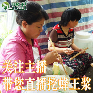 聚野长白山鲜蜂王浆蜂皇浆椴树王浆顺丰包邮