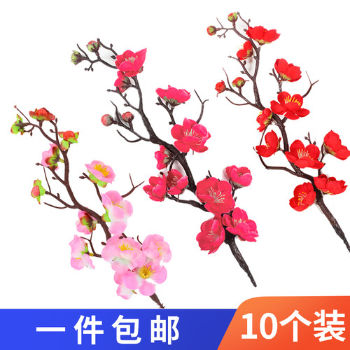 过寿寿公寿婆蛋糕插件过寿
